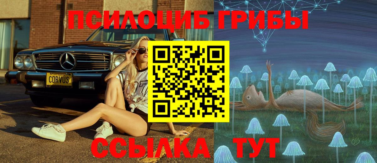 Псилоцибиновые грибы MAGIC MUSHROOMS Видное